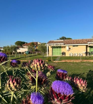 Il giardino di nunzia