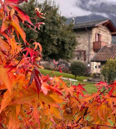 Il Granaio - Historic Molino Maufet Watermill - Lake Como
