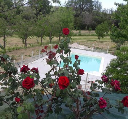 Il Rifugio dell'Ape Agriturismo