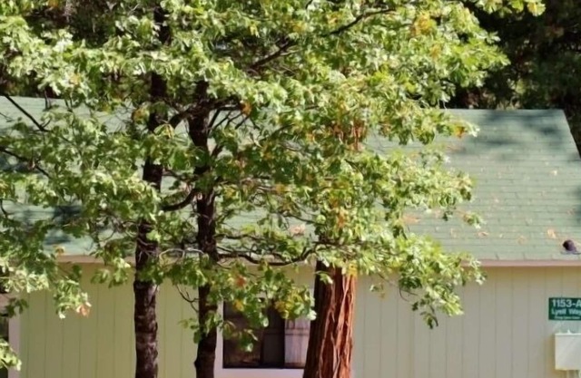 INSIDE YOSEMITE! Ten minutes from Yosemite Valley. SUMMER/FALL openings!