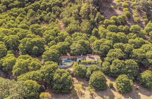 Inviting cottage with pool and activities for children.