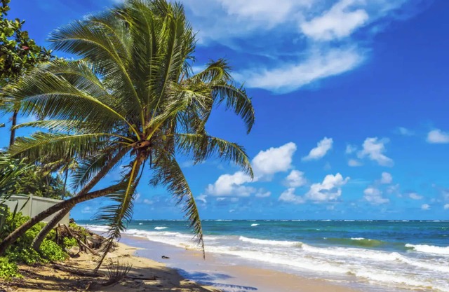 Island Escape - Pool, AC