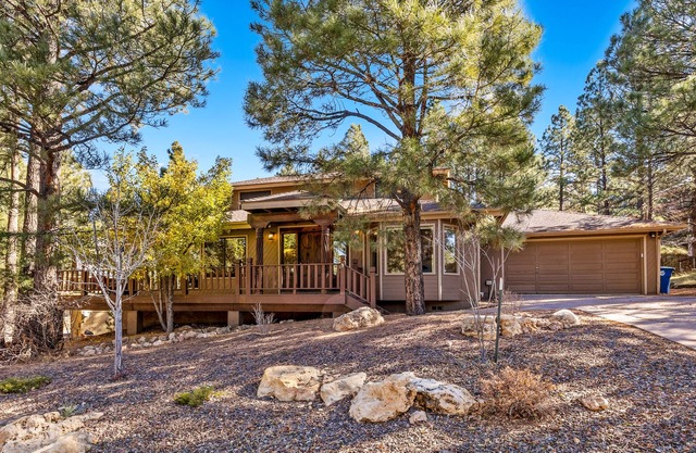 It's Aspen time in Flagstaff | Local Discounts