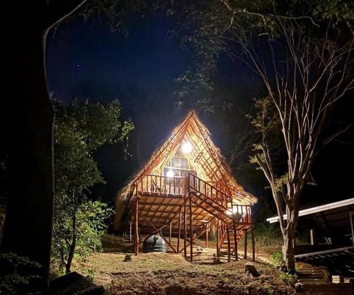 Itsalifestyle Jungle Cabana