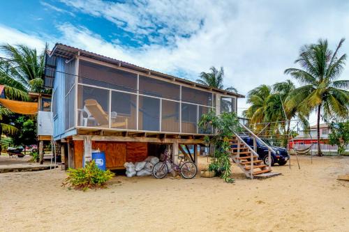 Jack at Carol's Cabanas -Gold Standard Certified