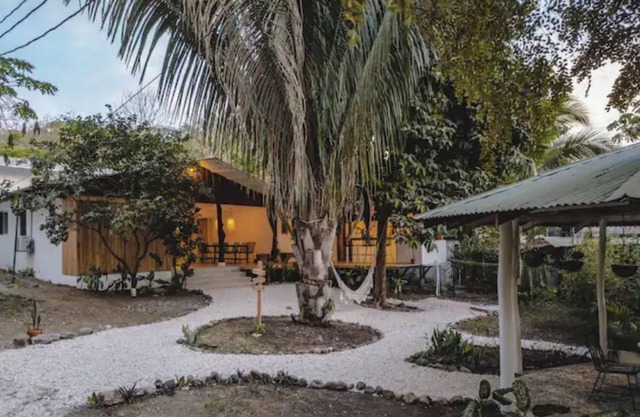 jungle apartment for 3