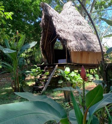Jungle Cabin - Satori Natural