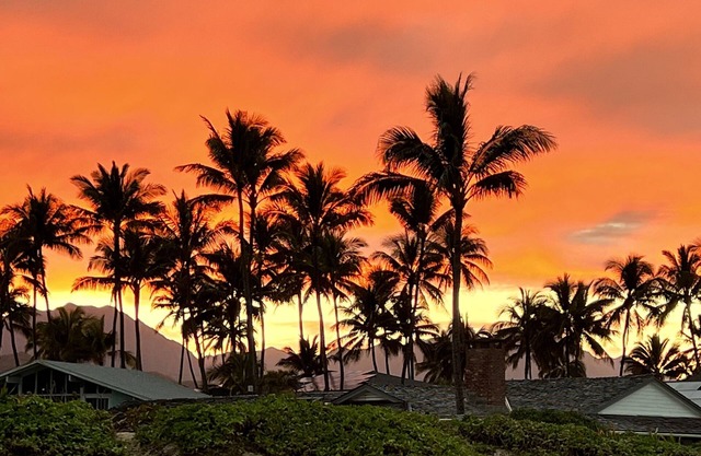 Just 40 Steps to the Most Beautiful White Sand Beach in the World