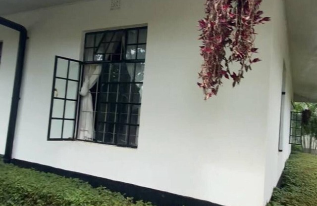 Jutland in Moshi Urbannn