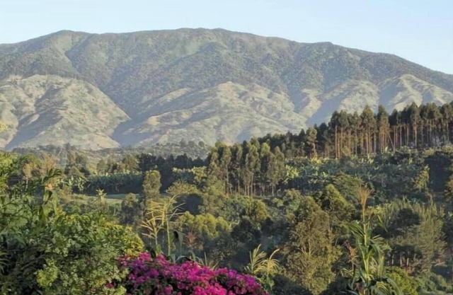 Kaije Country Cottages unit 2