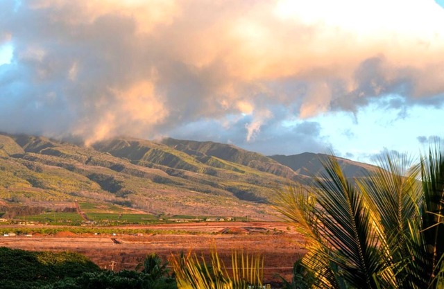 KBM Resorts | Spacious 3-Bedroom Honua Kai Collection | Multi Unit Listing | Same Floor | Ocean Views + 2 Free Rental Cars! HKH-516/45