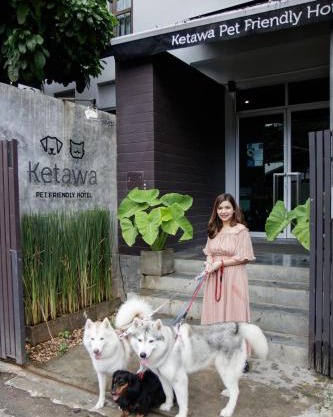 Ketawa Pet Friendly Hotel