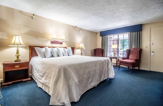 King room - 1 King bed