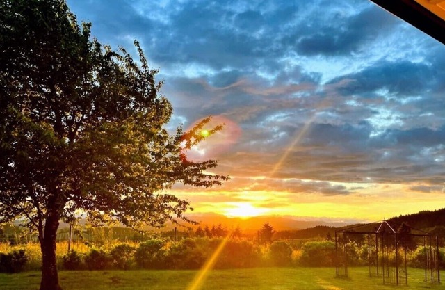 King`s Queen: Single level luxurious custom home in the heart of wine country