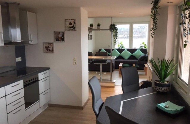 KL29: Bright Penthouse Apt w/Rooftop Terrace Downtown Kaiserslautern