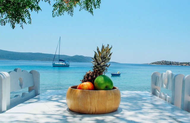 Klima Paradise