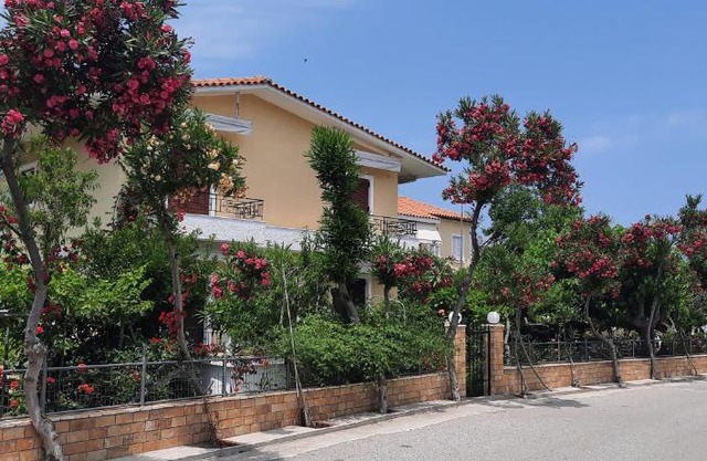 koula's apartments