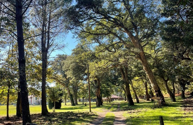 L'Airial de Léon: 2 houses, swimming pool, peace, nature, gym and games room