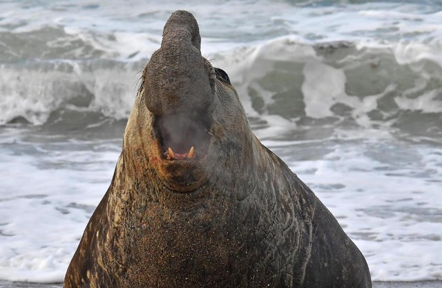 La Antonieta Estancia de Mar
