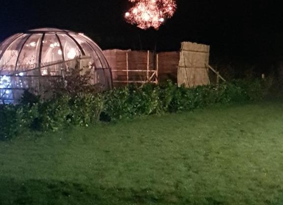 La bulle au bois dormant d'ovifat