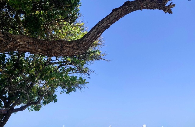 La Caracola Cartagena