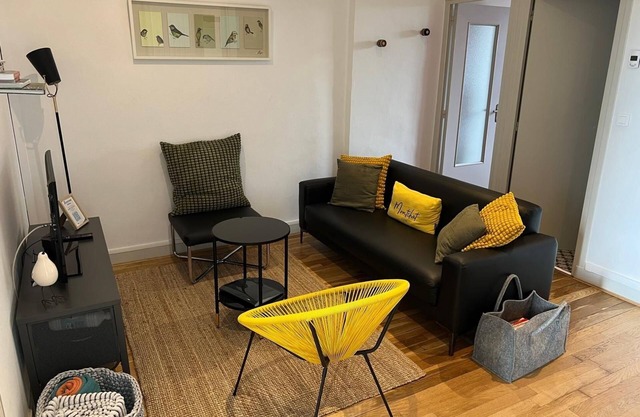LA SUITE DES CÈDRES - T3 Lyon 3