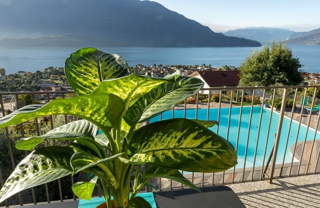 Lake Como - Residence La Collina - Coratina