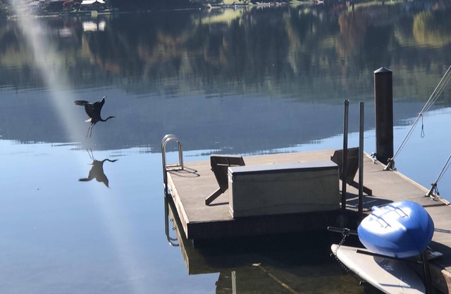 Lake Samish Getaway close to Galbraith Mountain, Chuckanut & Historic Fairhaven