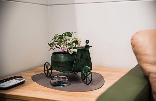 Lake Serenity Premium Mobile Homes-2Bedroom 15/013