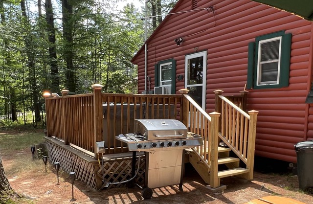 Lake View Cottage with Hammock/Swing & Fire Pit & Two New Jacuzzi Spa Hot Tubs