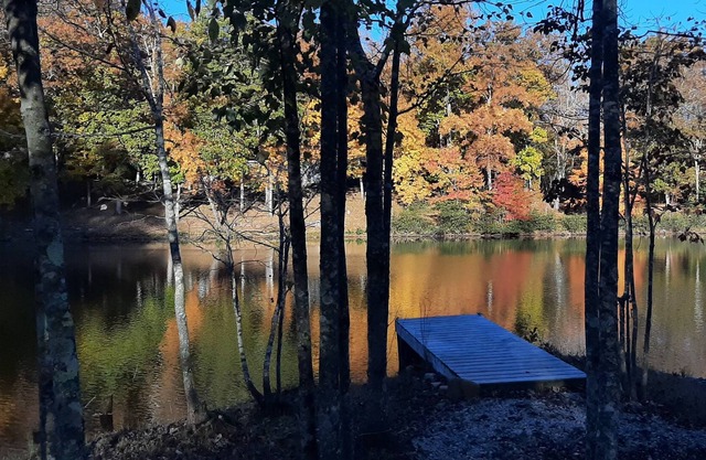 Lakefront Cottage: Pets welcome, low fees, special monthly discount