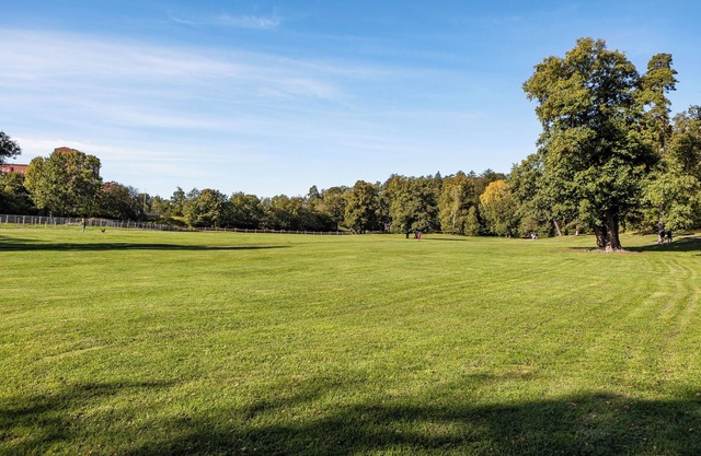 Lakefront Getaway in Hagaparken Central Stockholm