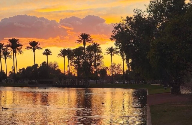 Lakehouse in Old Litchfield Park