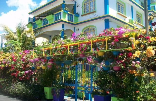 Lapiroguevilla