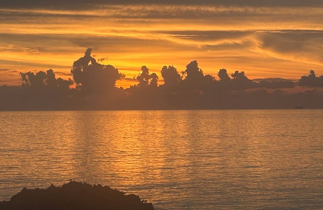 LARGE 3 BED POOL VIEW CONDO SET AMID TROPICAL GARDENS WITH GREAT SHORE DIVING