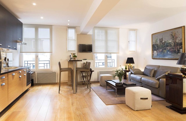 Large and comfortable deluxe flat in Montmartre