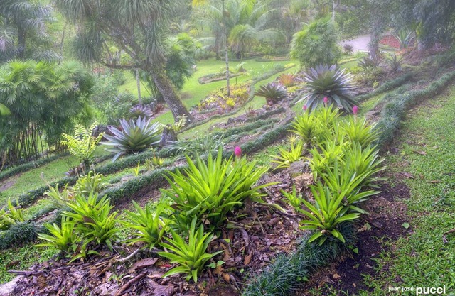 Las Cruces Biological Station