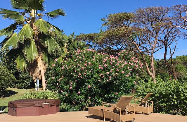 LAST MINUTE AVAILABILITY! Villa/ Pool by Sea on Championship Golf Course