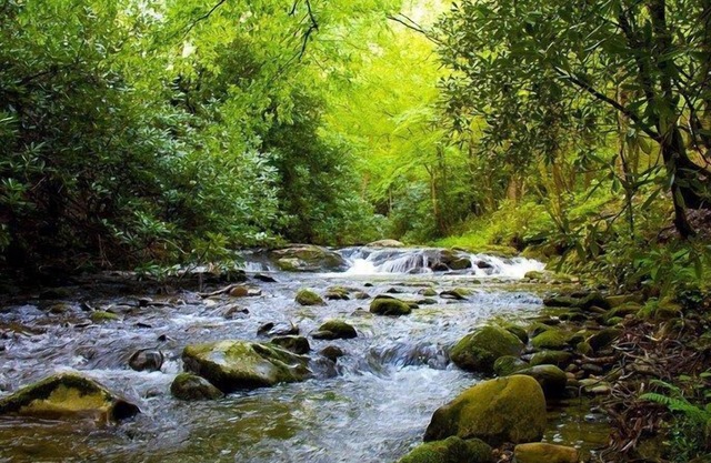 Laurelwood Falls Cabin-A Romantic Creek Side Retreat with Waterfalls