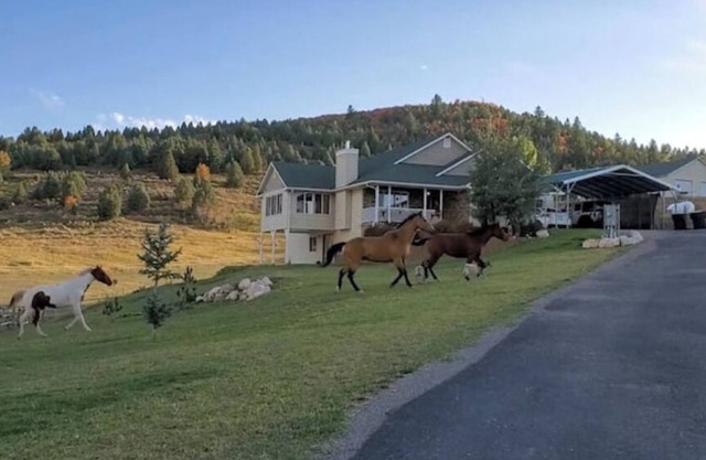 Lava Hot Springs Country Staynn