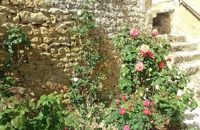 Le Vieux Château