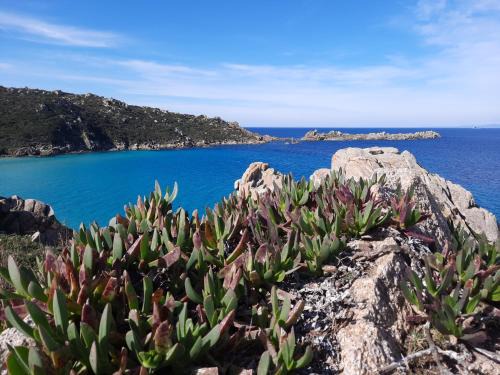 Le Villette di Ruoni