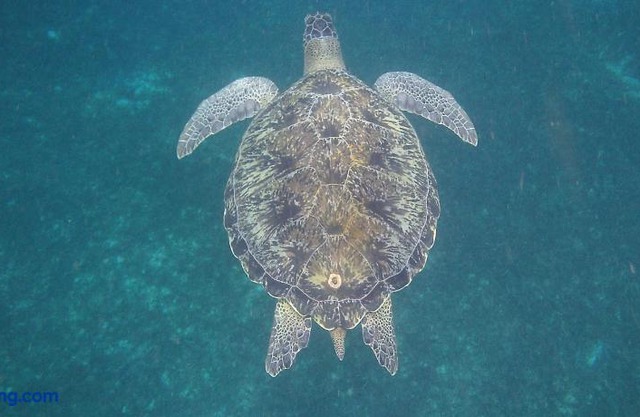Les Hauts De Caritan
