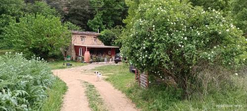 Les Jardins de Castelange