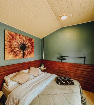 Lince no centro Igrejinha, a 30 minutos de Gramado