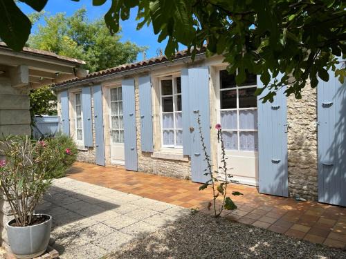 Lisière de Forêt de Domino