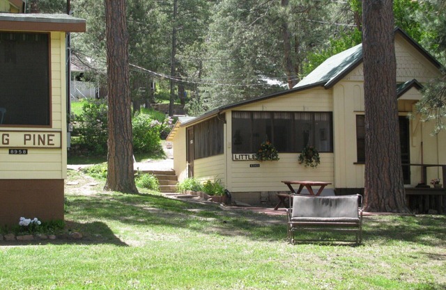 Little Pine Cabin/1 bed, 1 Bath