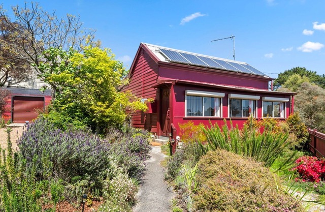 Little Red in Katoomba