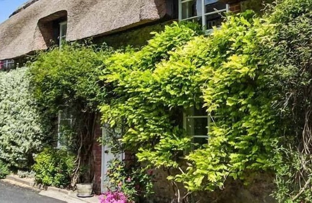LITTLE THATCH, romantic, luxury holiday cottage in Cerne Abbas