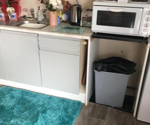 Little Trains of Dartmouth Trains of Light Special Summer and Easter Holiday Deals